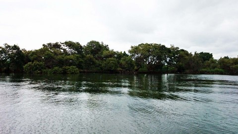 琵琶湖１３.jpg